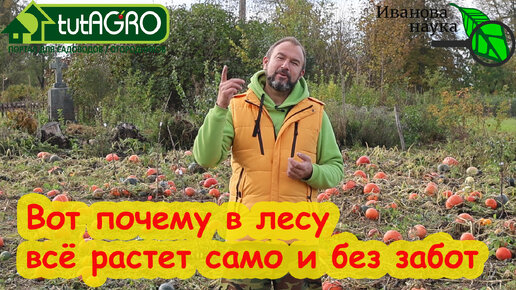 НАРОД ХОЧЕТ ЗНАТЬ! Почему в природе все растет само, а в огороде надо все-время что-то делать? Вечные подкормки, прополки, обработки...