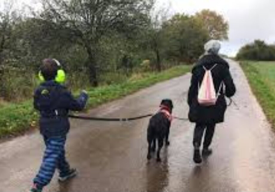 Фото из открытого источника. 