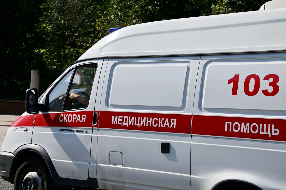    © Vladimir Baranov/Global Look Press