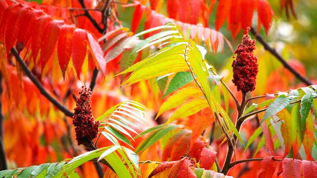 Листайте галерею для просмотра.