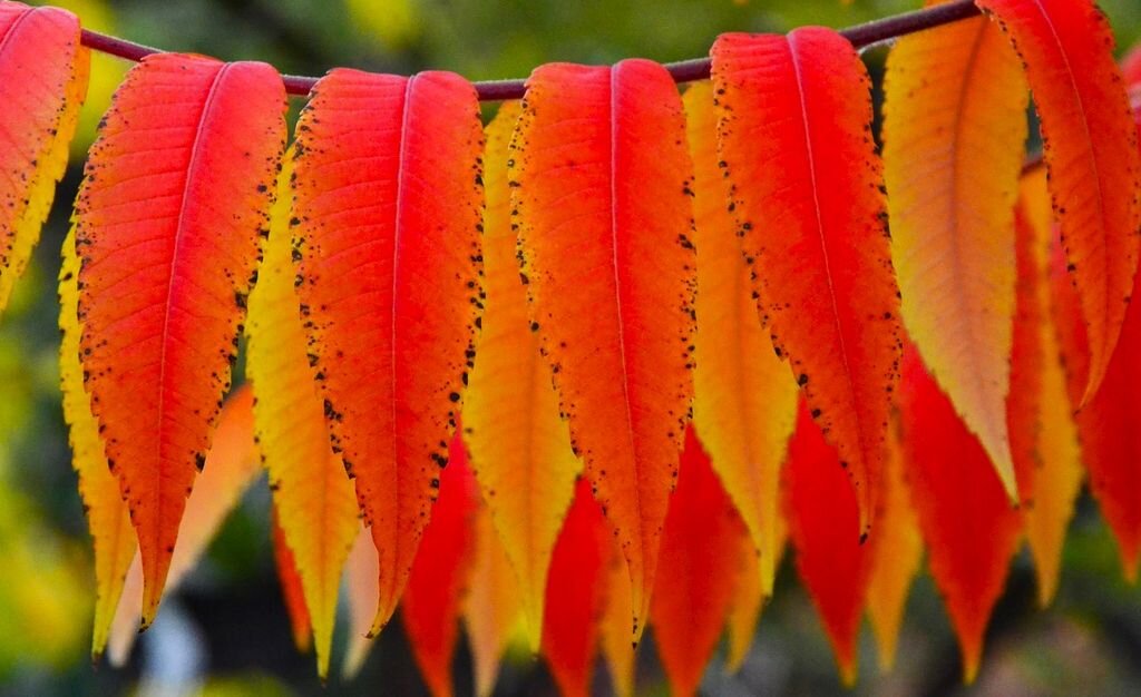 Листайте галерею для просмотра.