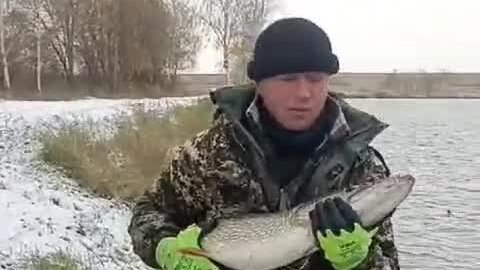 Рыболовный клуб 9 карпов телефон 8-901-563-40-07 | Золотая рыбка с ...