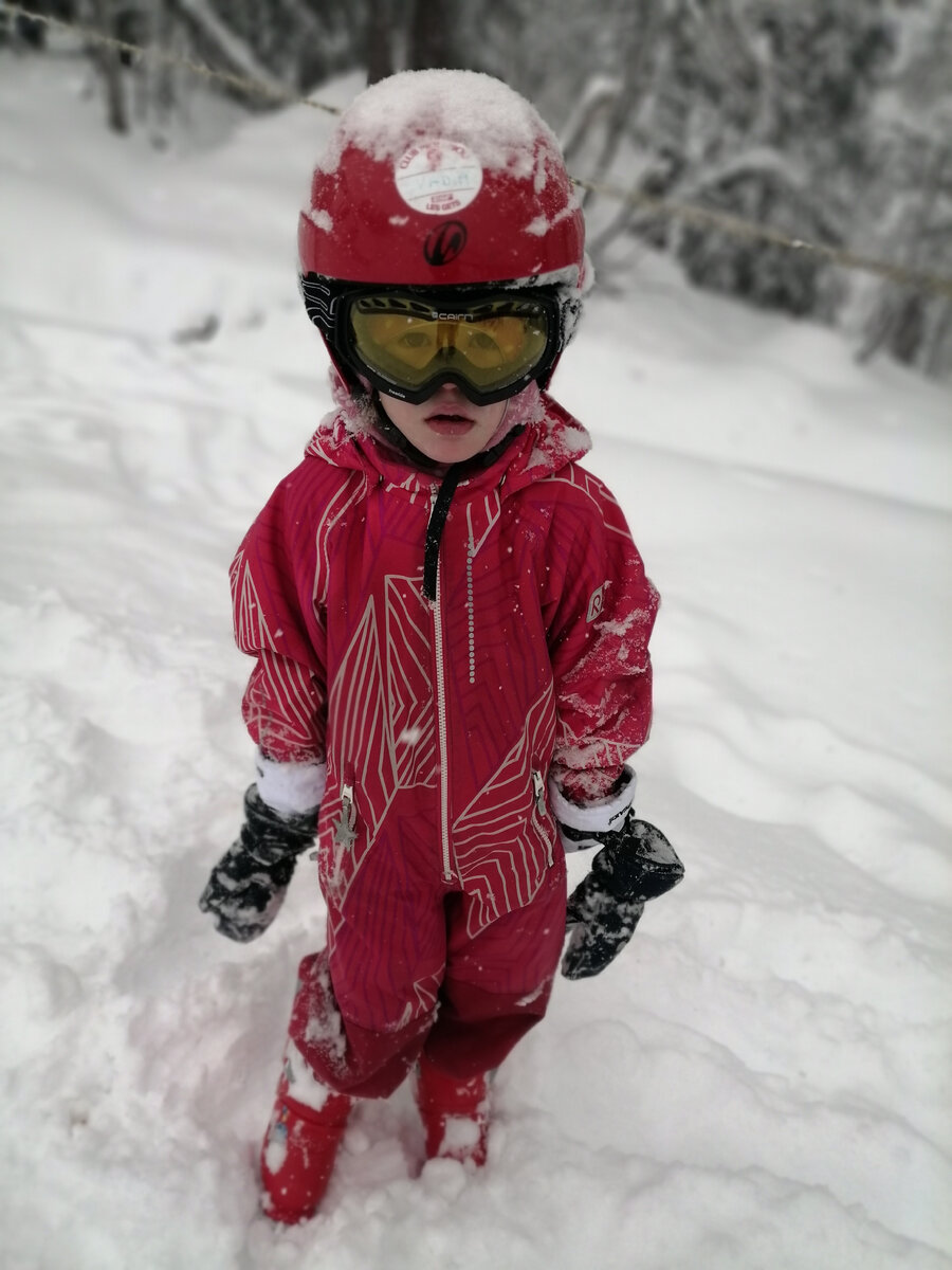 франция, дети, семья, сова, жаворонок, зима, лыжи, школа