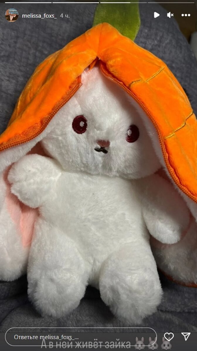 Мелисса Фокс / Instagram* (принадлежит Meta*, она запрещена в России и признана экстремистской)