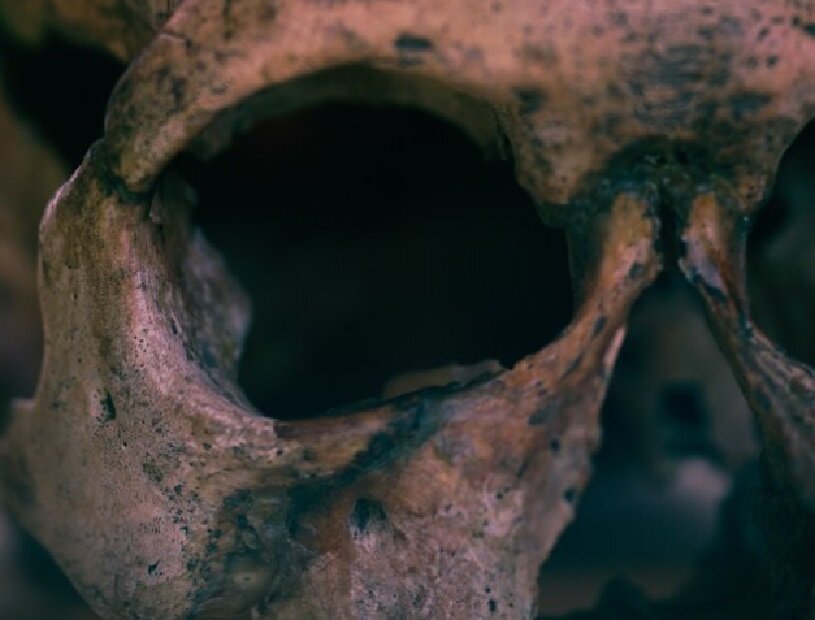 На черепе молодого мужчины, захороненного в могильнике Туннуг 1 в Сибири около 2 тыс. лет назад, археологи заметили ромбовидную травму - скорее всего, от наконечника стрелы. По мнению исследователей, телесные повреждения, обнаруженные на могильнике Туннуг-1, могут отражать внутренний хаос в степи после распада империи Хунну.