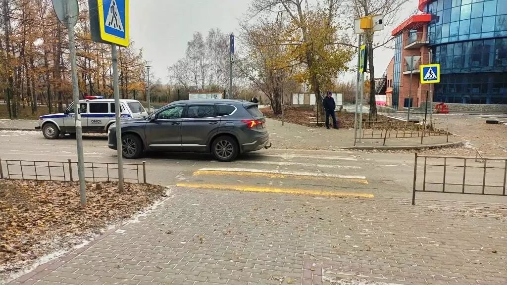     Сотрудники надзорного ведомства дадут оценку действиям водителя.