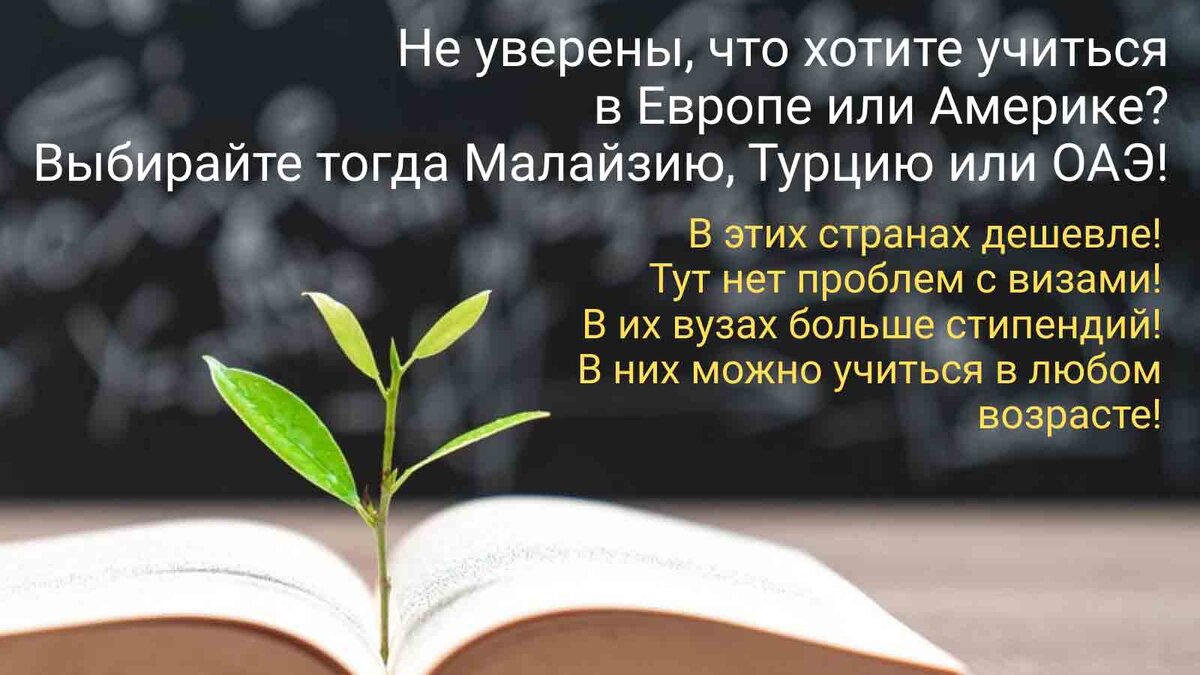 Университеты и колледжи, средние и языковые школы из разных стран приезжают на выставку в Москву, чтобы рассказать о своих программах и встретиться с потенциальными студентами.