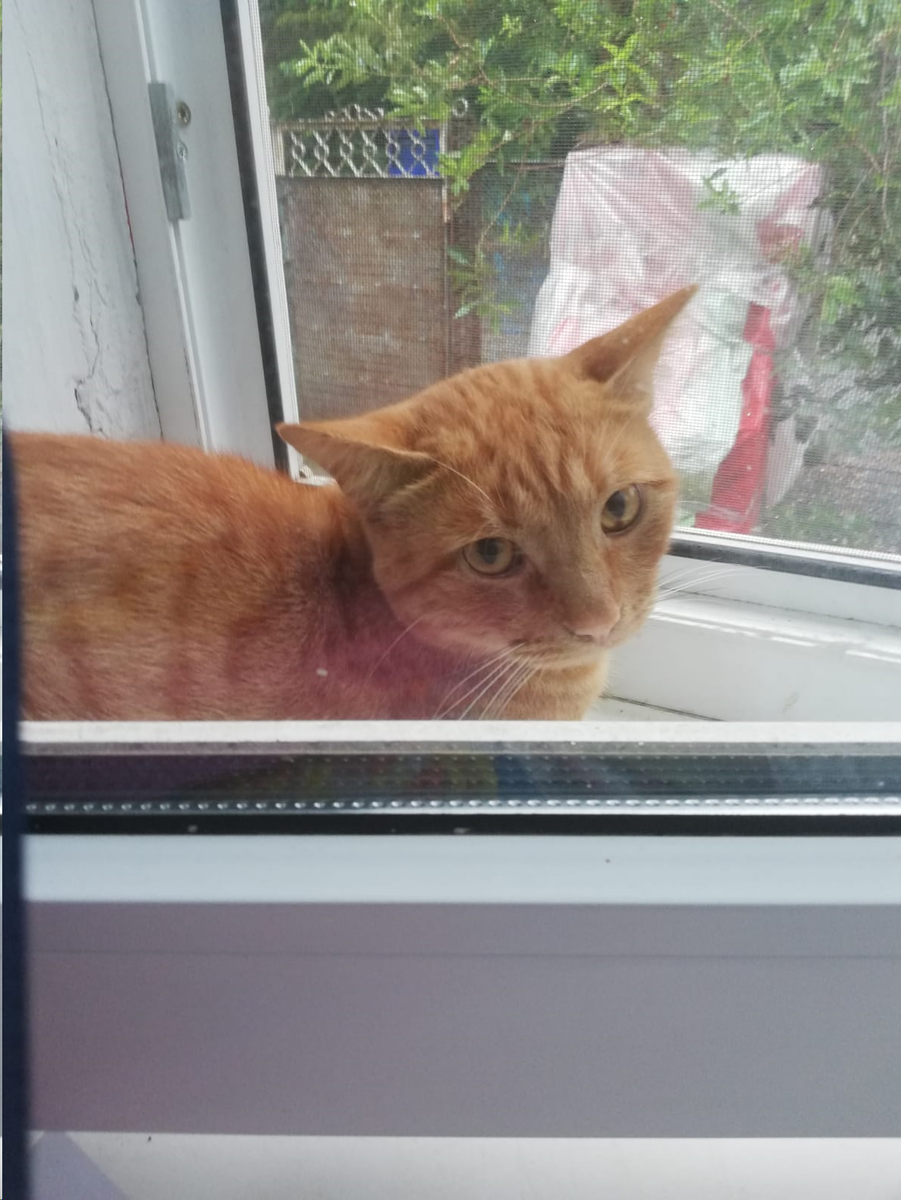 Скромняга, правда?