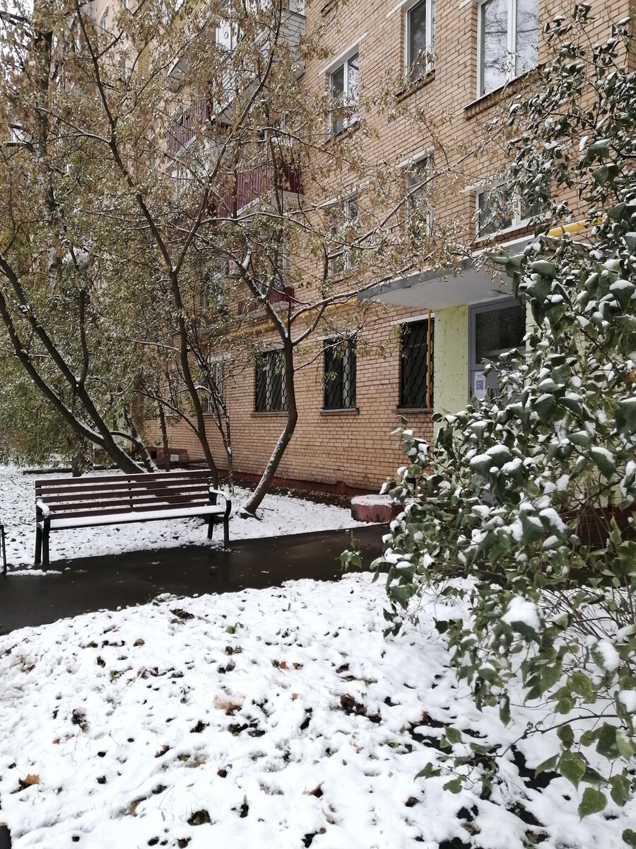 Пора заново привыкать к снегу. А то всё лето, лето...
