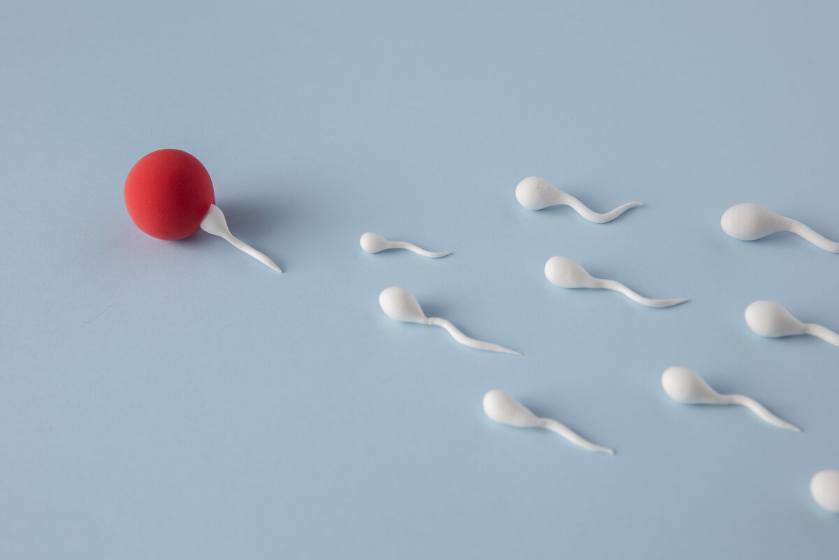     Сперматозоиды против физики: ученые из Японии выяснили, что человеческая сперма нарушает 3-й закон Ньютона