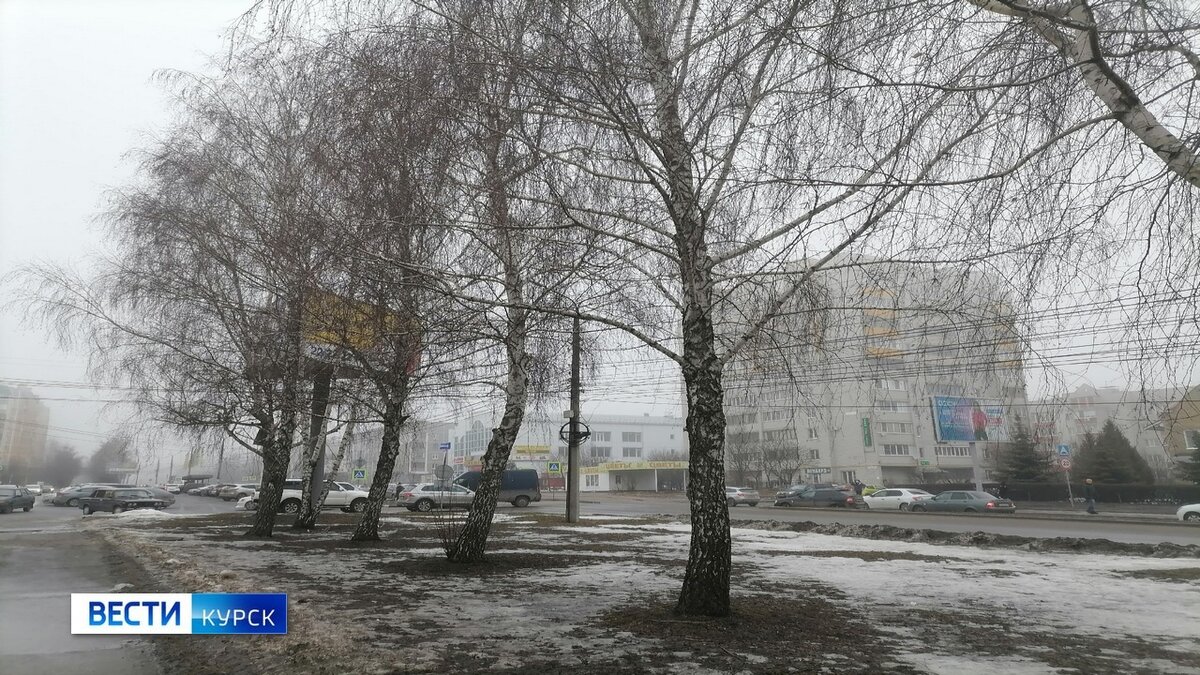    В Курской области 28 октября ожидаются сильные дожди, туманы и до +14
