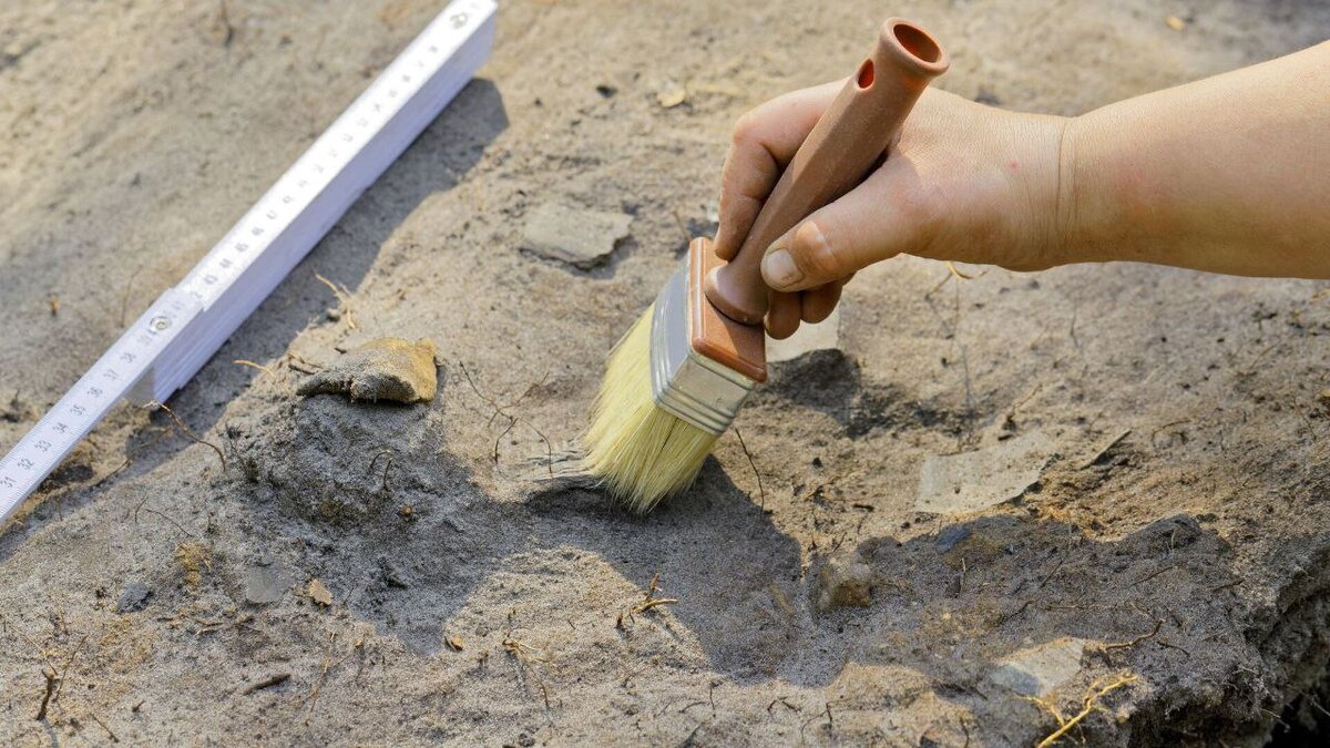 Археологи продолжают раскопки на месторождениях ЛУКойла в Западной Сибири