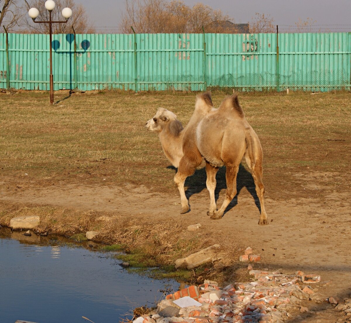 автор фото канала - В гостях уМАРИИ