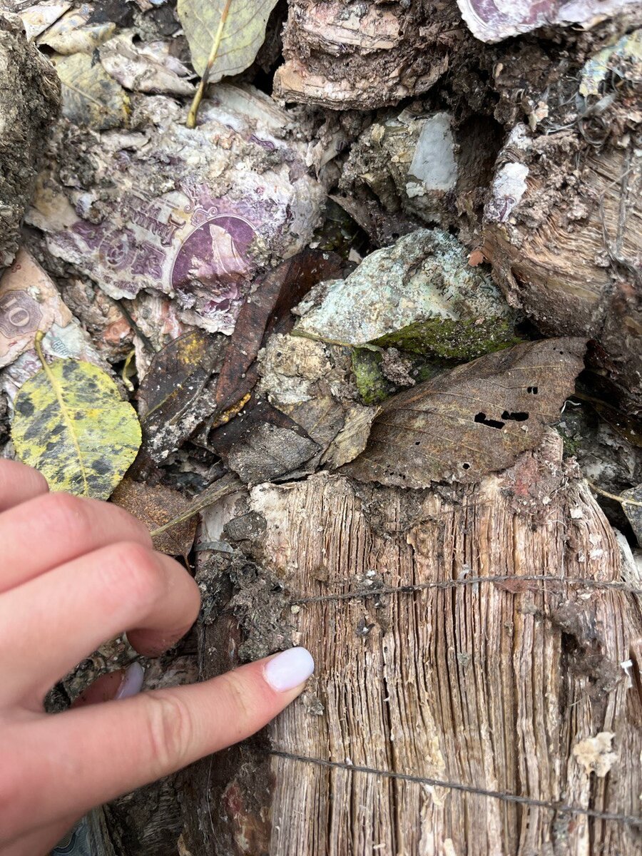 Стопка денег