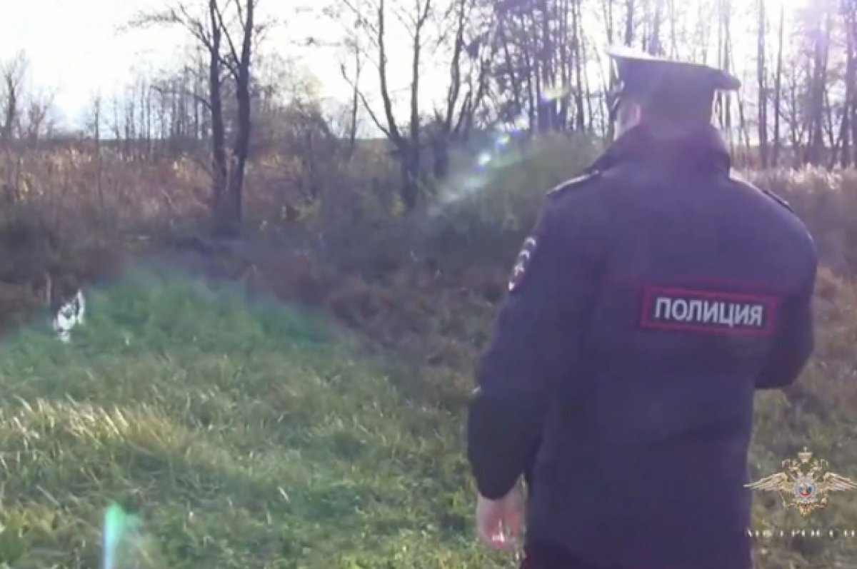    В Оренбуржье полицейский спас увязшего в болоте пятилетнего мальчика.