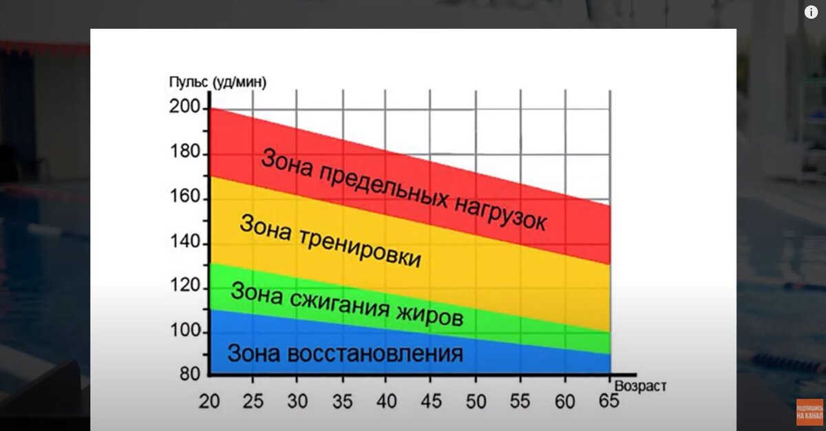 Пульсовой коридор для жиросжигания