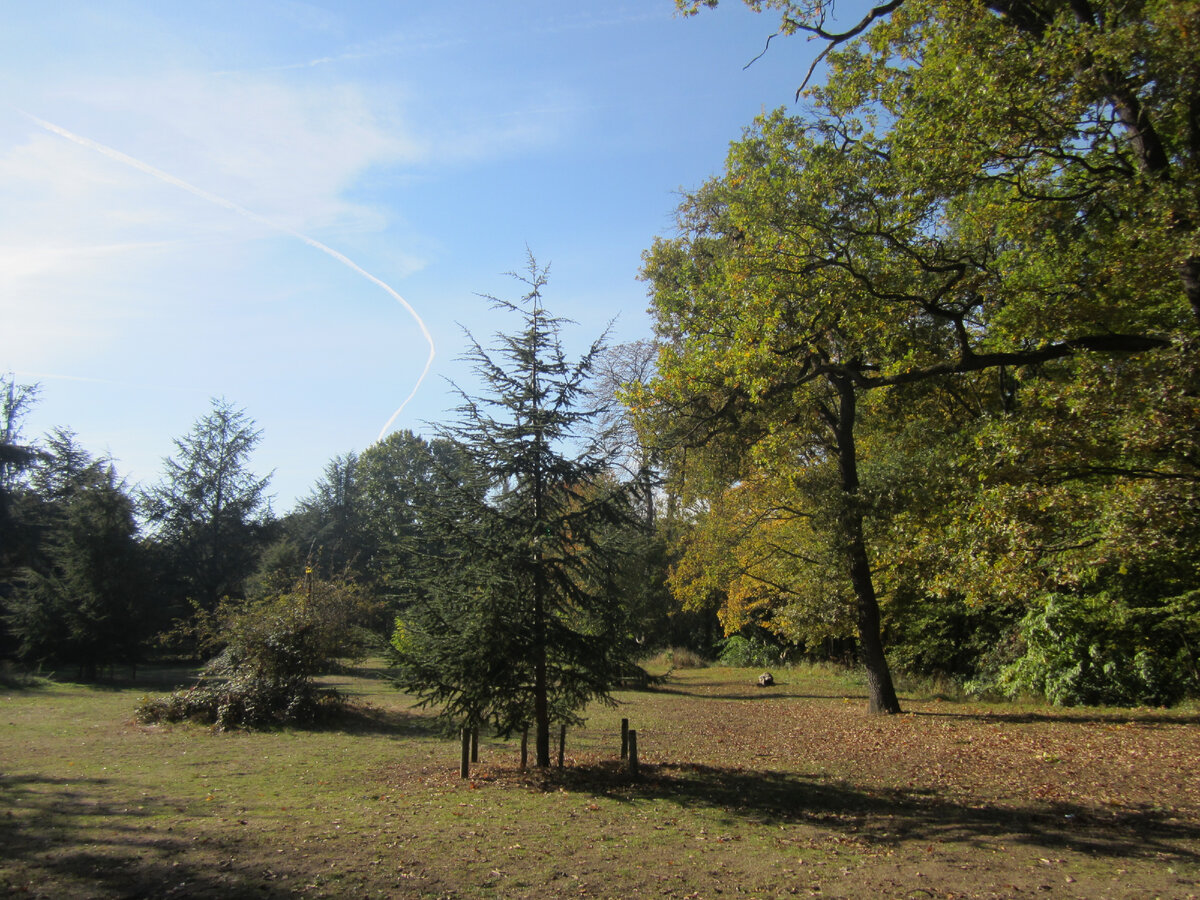 Булонский лес