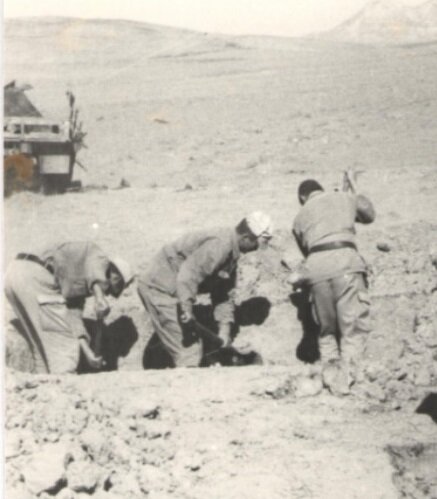 фото из интернета.