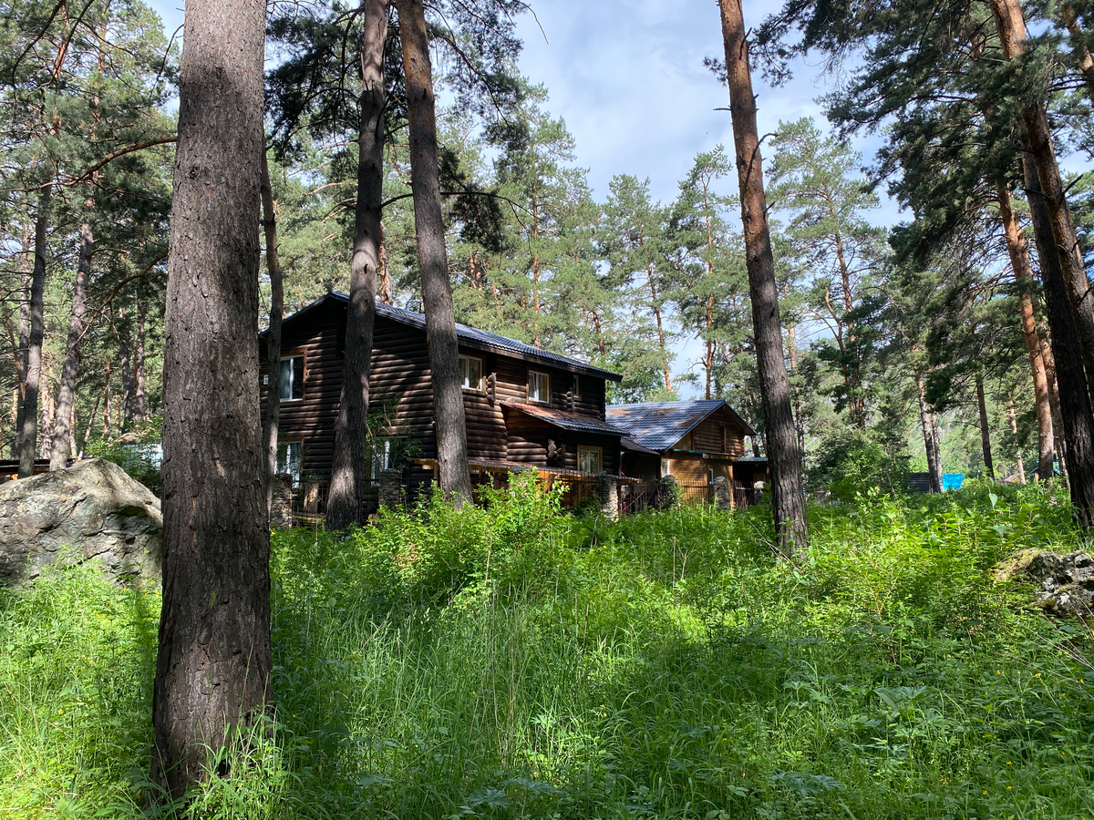 Как прекрасен этот мир