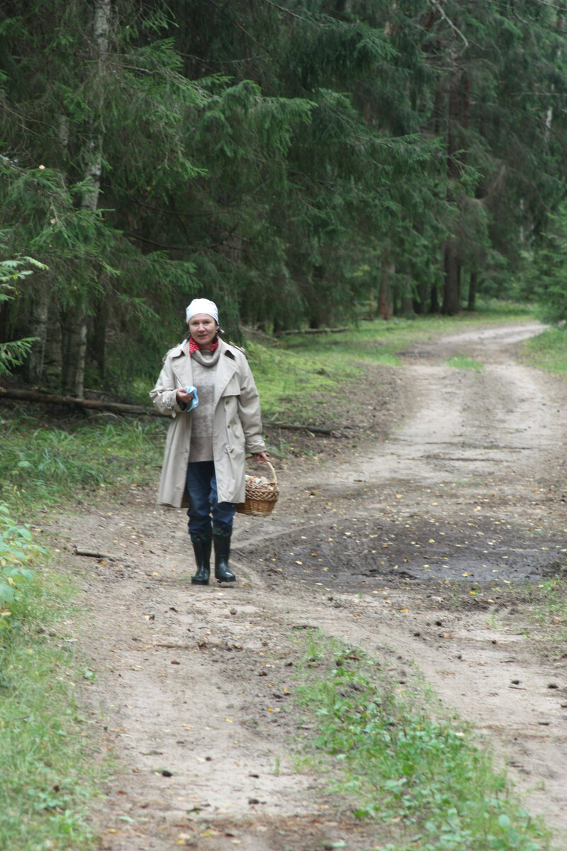 Наконец-то появилось время и для грибов