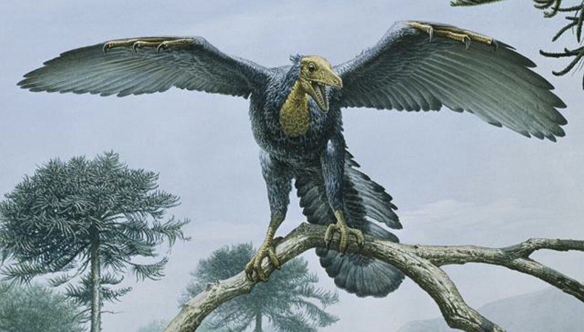 Из открытых источников