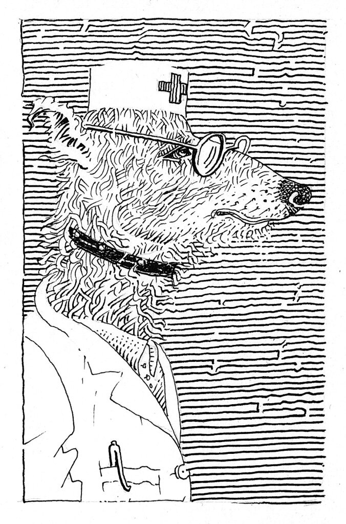 Иллюстрация Петра Перевезенцева