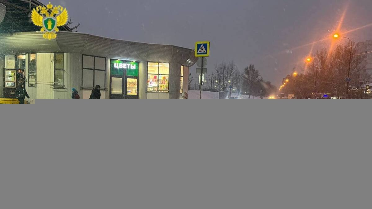    Фото: Telegram / Прокуратура Москвы