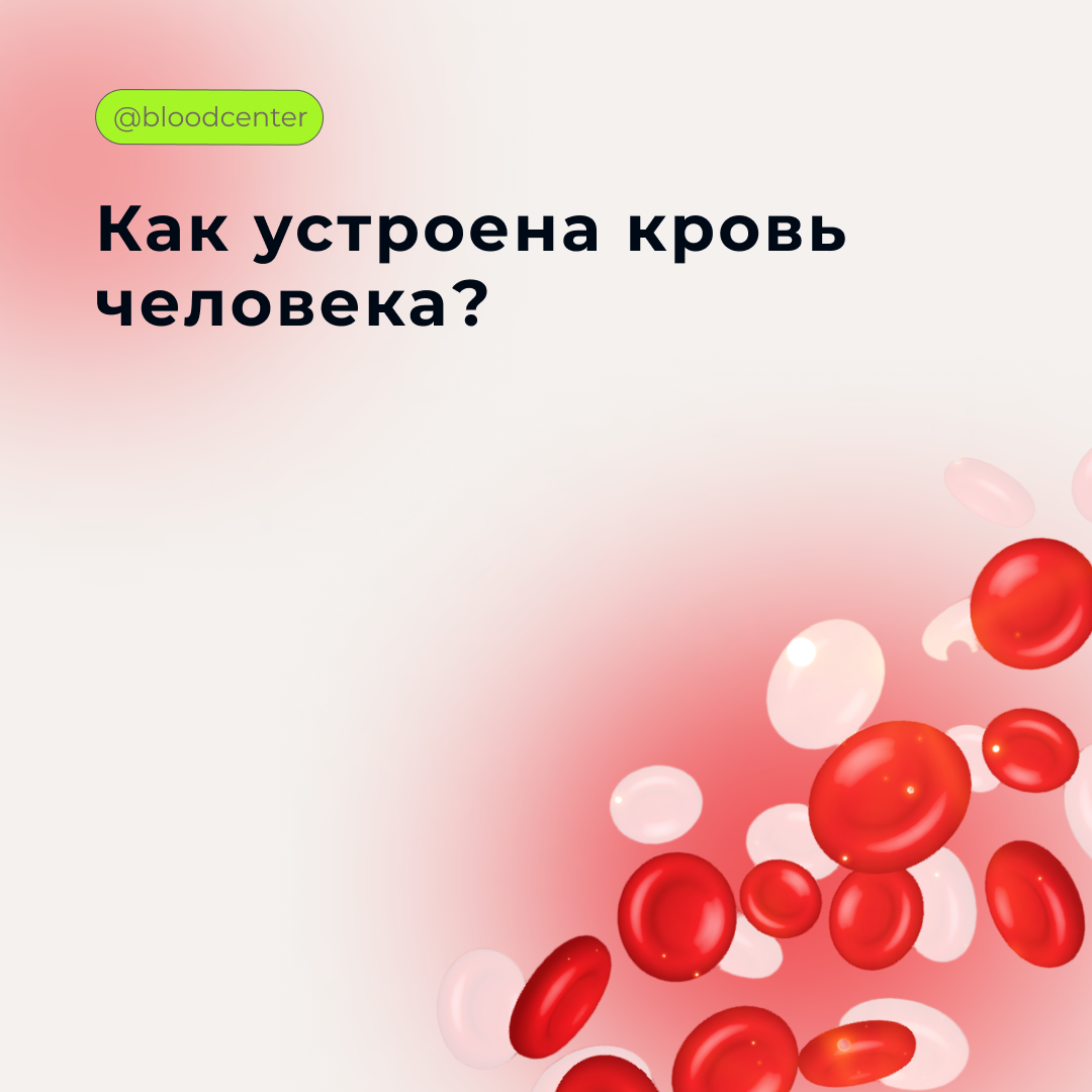   Кровь – уникальный орган тела. Он жидкий, в отличие от других «соратников» по организму. Кровь выполняет дыхательную, трофическую, защитную, гомеостатическую и регуляторную функции.