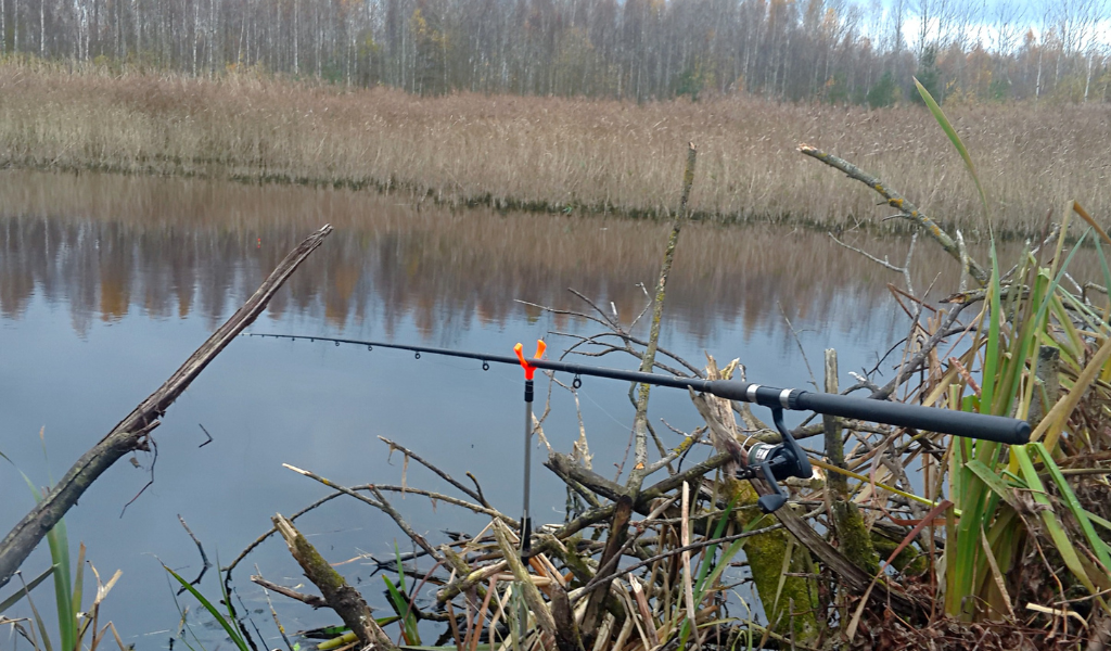 Вся рыба стояла у границы с травой