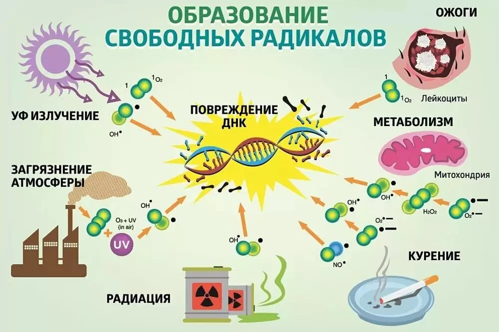 Фото в свободном доступе в интернете. Наглядно показаны не только внешние причины старения, но и еще курение, которое можно отнести к образу жизни. 