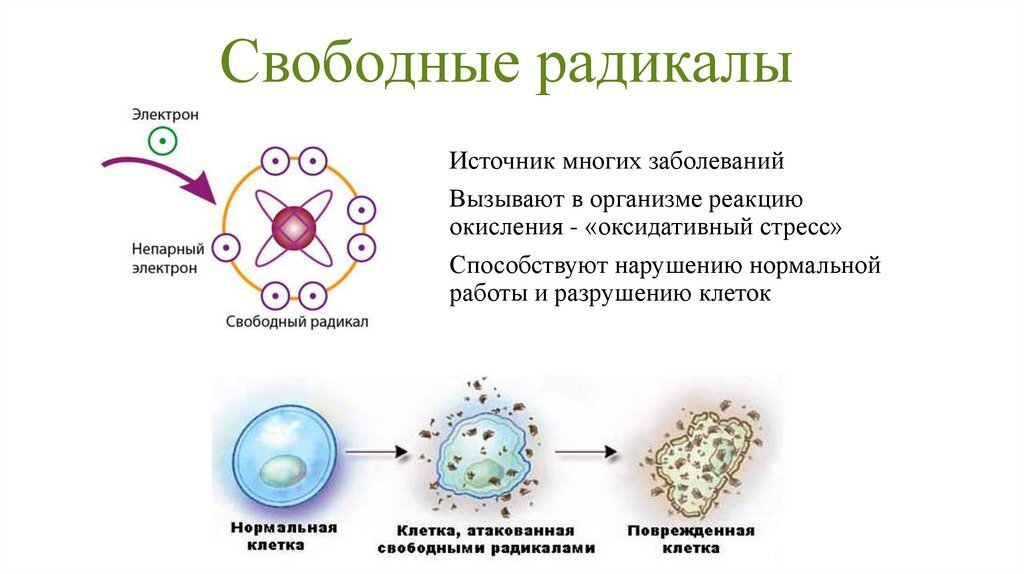 Картинка из интернета. Наглядно видно  как выглядит свободный радикал- это клетка, потерявшая электрон, и она хочет отобрать электрон у другой клетке повреждая ее.