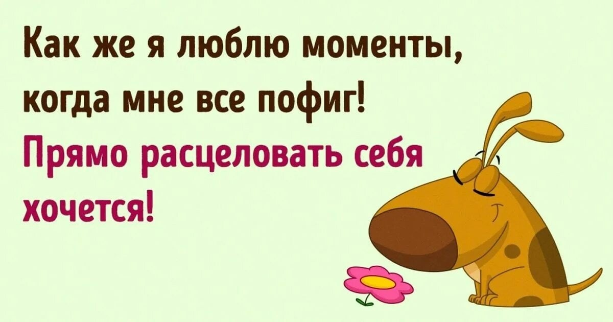 Смешные фразы про пофигизм. Статус про пофигизм прикольный. Смешные цитаты про пофигизм. А мне пофиг.