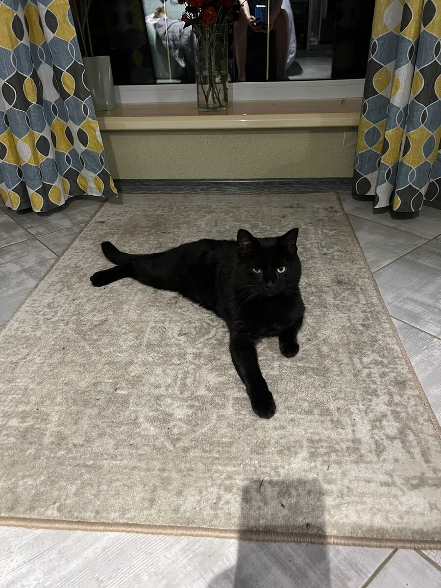 Не могу не похвастаться шикарным Васяткой, только-что Надежда Ильинична скинула приветик от него