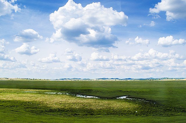 Степи Монголии. Иллюстрация с Wikimedia Commons 