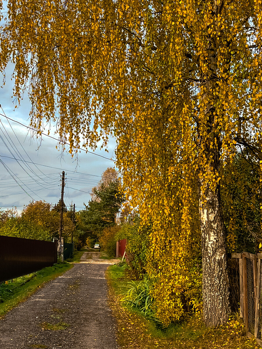 Вернись, я все прощу (6) | НеВедьма | Дзен