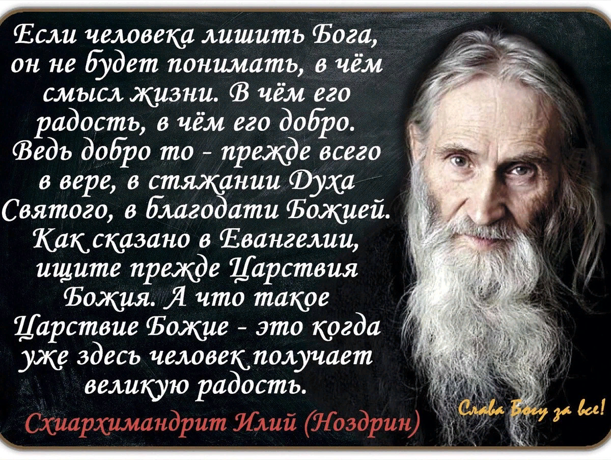 В чём заключается главная цель жизни человека? Какой ответ на этот вопрос  давал старец Варсонофий Оптинский | Святые места | Дзен