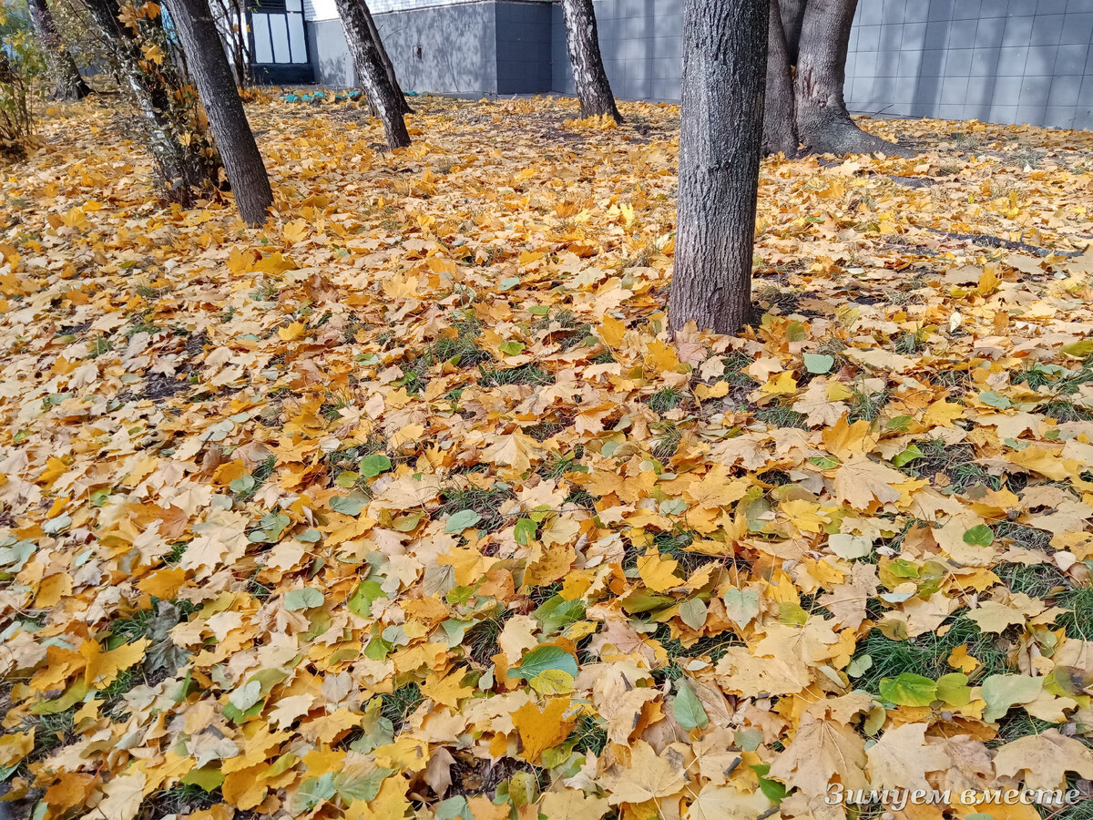 Вот что: