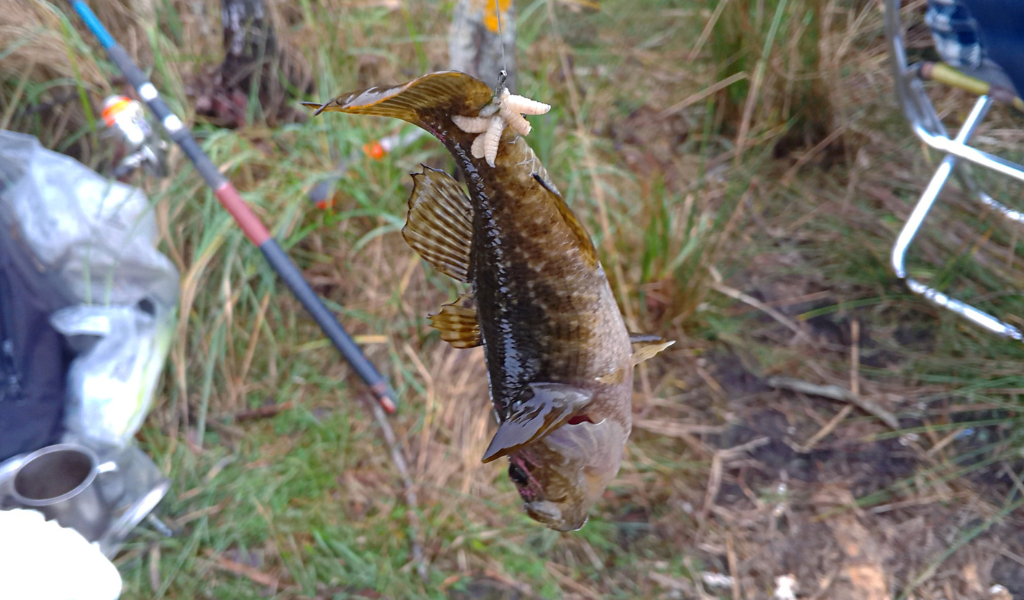 А в таких случаях и экстрактора не надо