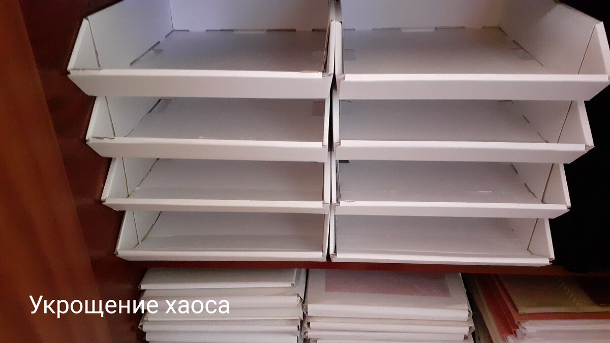 Новые картонные лотки на полках в шкафу