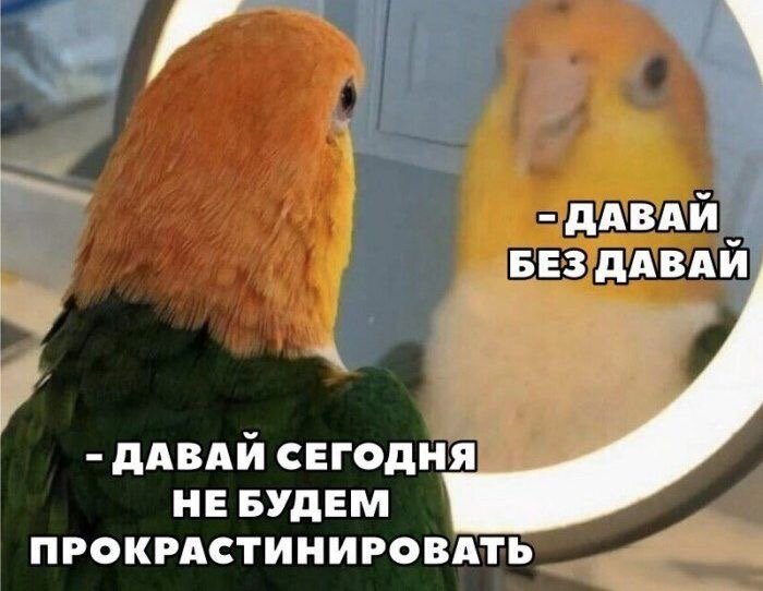 все мы с таким знакомы :)