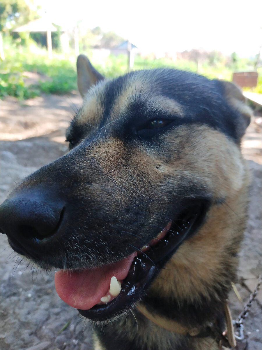 Вязаться вам надо, барин!