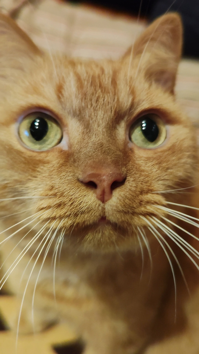 Очаровашка Филя