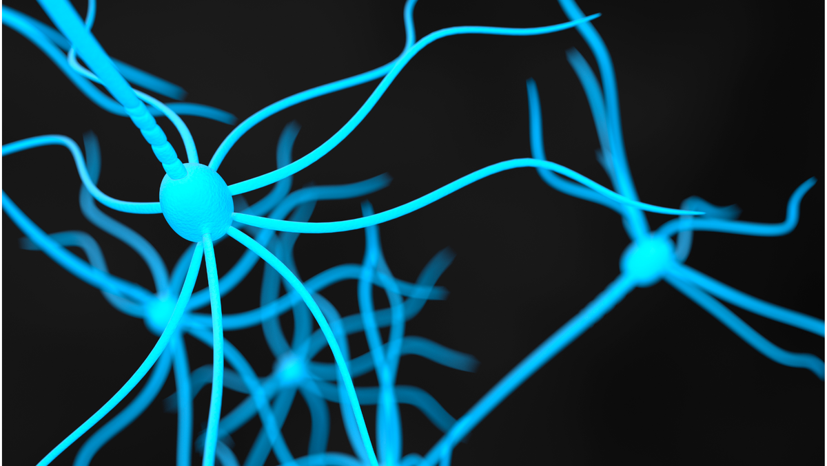 Нейроны головного мозга