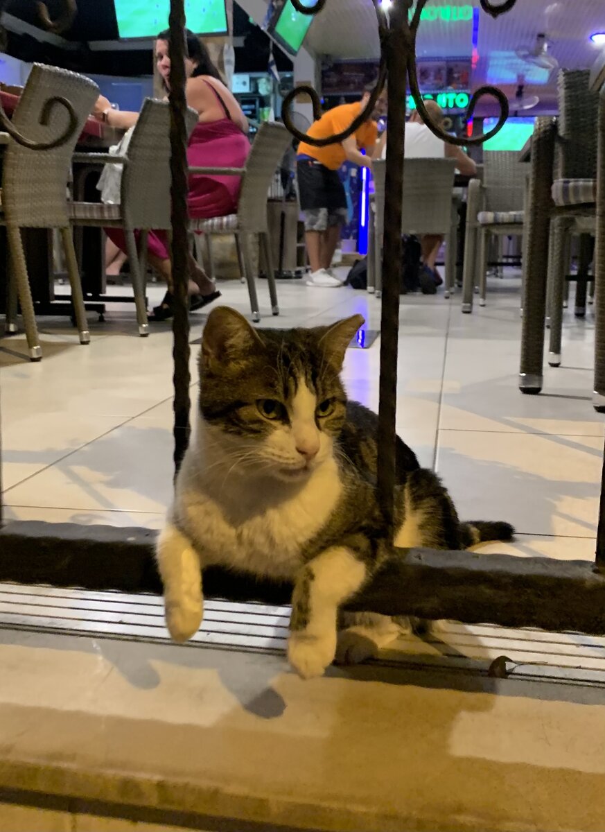 Подработка на drive-thru