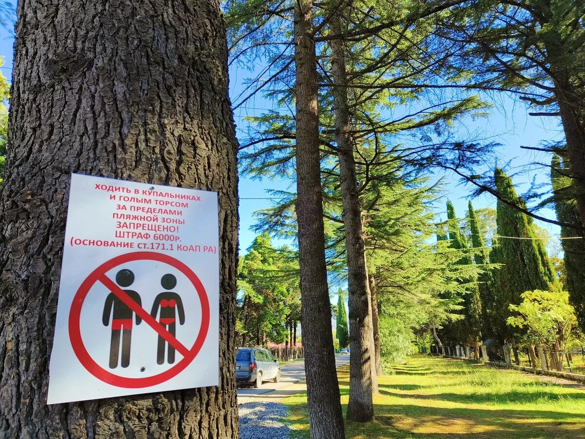 Объявления о штрафах за купальники висят в Абхазии буквально на каждом углу. Фото Светы Давыдовой