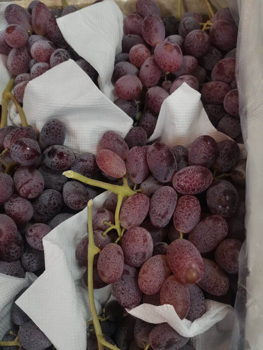 Красные винограды