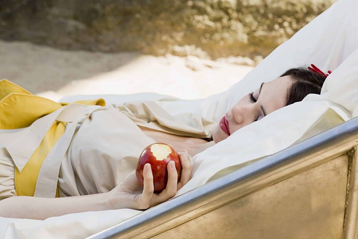 Обложка: © Pixabay