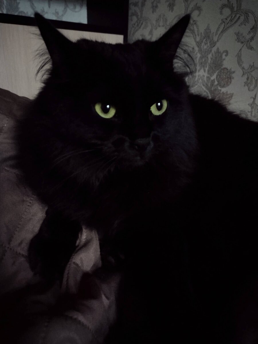 Очень срочно подать сюда медсестру!