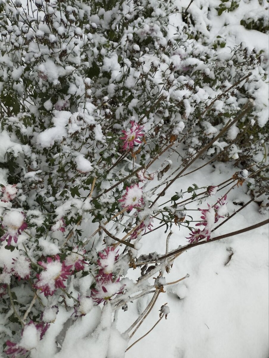 Не далеко от работы