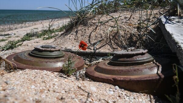    © РИА Новости . РИА Новости